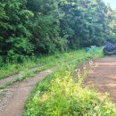 중로 1-42호선 이미지