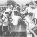 감포초등학교 이미지