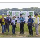 안동 청보리밭 축제 에서 이미지