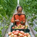 석영농장 이미지