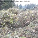 도순주유소 이미지