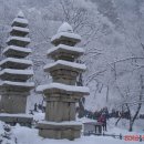 부여(임천)-10 이미지