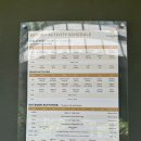 쏭대관노래연습장 | 리조트에만 있었는데 할 일이 이렇게 많다고? 우붓 파드마 2탄 (액티비티, 스파 후기)