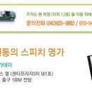 선화초교 이미지