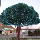 다비치콘도 사우나 이미지