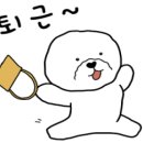 바우라움수원캠퍼스