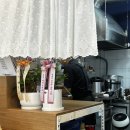 회기시장 | 또 신상맛집 털기.. &#39;꽃게집&#39; 오픈 후 게장정식먹으러 내돈내산 솔직후기 회기시장 간장게장 양념게장