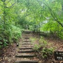 [홍천여행] 힐리언스 선마을에서 숲캉스🪴진짜 힐링한 1박2일 연수기!