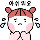 노가드네 이미지