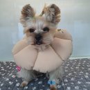 베리굿동물병원 이미지