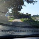 위미돌담스테이 이미지