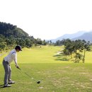 파크골프장 이미지