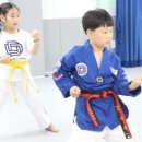 경희대 도복소리 태권도장 이미지