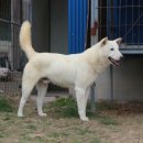 용은축산 이미지