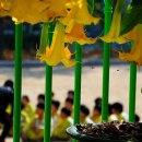 명진초등학교 이미지