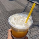 온리지