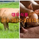대우축산물 이미지