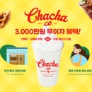 카페차차