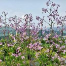 우리농장2 이미지