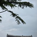 오원집우아점 | [전주여행] 전주 당일치기 식도락 여행 후기 (길거리야 한옥마을점, 우리순대집, 교동다원, 가비마실...