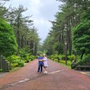 붉은오름자연휴양림2 이미지