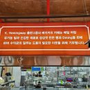케이헤밍웨이베이커리카페