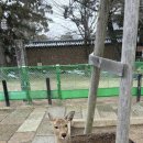 외어농장 네이버블로그
