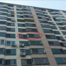 덕진-100 이미지