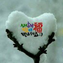 (주)토다 이미지