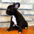 오케이굳(주) 이미지