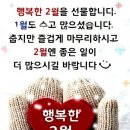 상록수농장 이미지