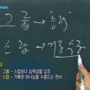 스랍(seraphs) 네이버블로그