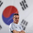 벤투 전 감독 지원설에…축구협회 "근거 없는 루머" 일축 이미지