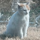 그루밍제주 | 행복했던 2022년 첫 연휴