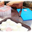 올리브독 이미지