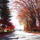 호명호수(제1주차장) 이미지