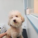 또또미용실 이미지