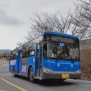 성서교통 이미지