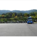 광성토굴새우젓 이미지