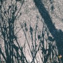 하이웨이카센타 이미지