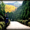 베이트리 이미지