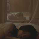 아주 특별한 여름밤 이미지