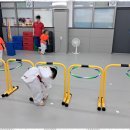 인성 태비 태권도 이미지