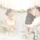 제이케이스튜디오 | 🎉 “돌잔치 고민 끝!” JK블라썸호텔에서 완성한 감성 출장돌상 후기