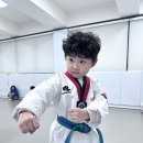 영남대 삼성태권도 이미지