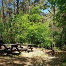 우포늪생명길 이미지