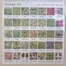 내고향식자재마트