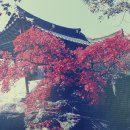 충재박물관 이미지