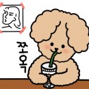 빼꼼시즌2