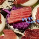 씨스타참치